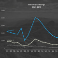 Bankruptcies in the US in 2020: An Expert's Perspective